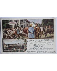 Carte postale ancienne Schweizerische Ausstellung Frauenfeld 1903 Suisse