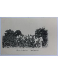 CPA Indre-et-Loire Colonie de Mettray Travaux agricoles