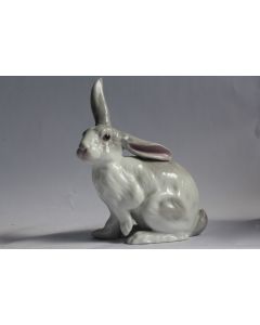 Lapin porcelaine allemande