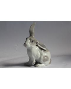 Lapin porcelaine allemande