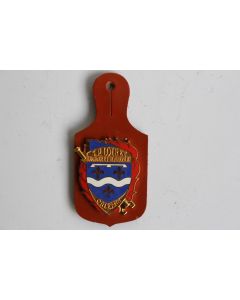 Insigne Pompier Loiret Orléans