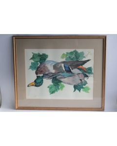 Aquarelle originale Jean Edmond BURNAND Canard