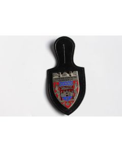 Insigne Pompier Bordeaux (Garonne)