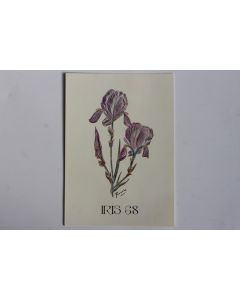 Carte postale QSL Radio Amateur Suisse Iris 68