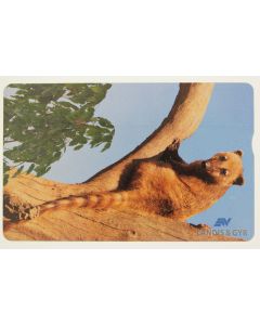 Télécarte L&G Full Face Trial Coati 630L Israël 1996