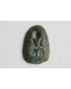Monnaie antique Cauris de bronze Nez de fourmi Chine État de Chu