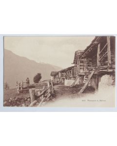 CPA Suisse Planajeur sur Salvan