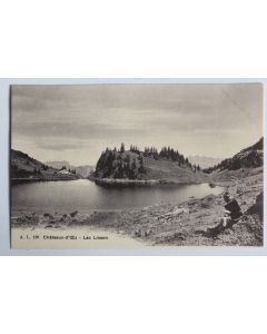 CPA Suisse Chateau d'Oex Lac Lioson