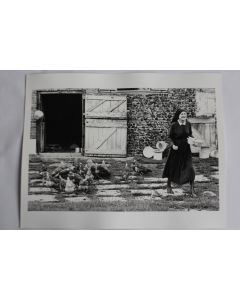Photographie d'art JAN NEUMAN Poules Roumanie