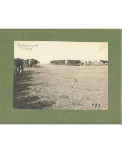 Photographie Ancienne Guerre Cantonnement 2e SMA