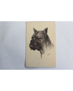 CPA illustrée Gauli Chien Boxer