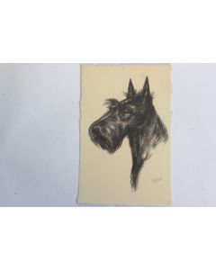 CPA illustrée Gauli Chien Scotch Terrier / Terrier Écossais