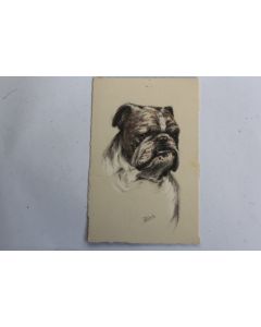 CPA illustrée Gauli Chien English Bulldog Bouledogue