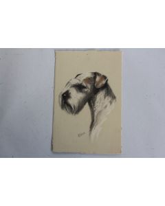 CPA illustrée Gauli Chien Sealyham Terrier