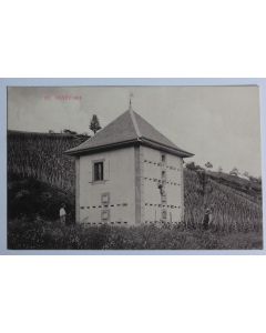 CPA Haute-Savoie Année 1913 Vin Francizod Vanzy Chessenaz Seyssel Frangy