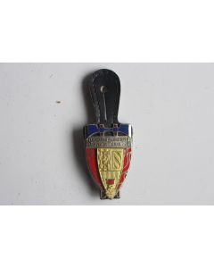 Insigne Pompier France