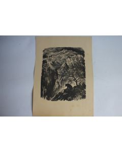 Bois gravé original Xylogravure Pologne Zofia FIJALKOWSKA