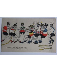 CPA satirique anti-kaiser Sport... Belliqueux ! 1914 Guillaume II