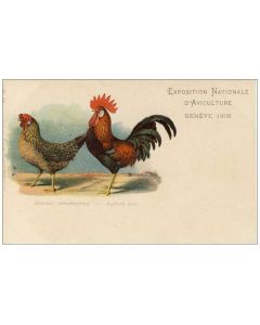 CPA COQ Exposition National d´Aviculture Genève 1908