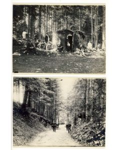 Photographie Suisse Neuchâtel Forêt Bois de la Joux (x2)