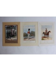 Gravures rehaussées Armée anglaise Prince Albert