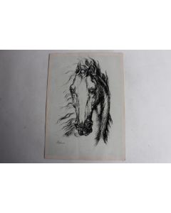 Dessin encre de chine Tête de Cheval Delacoux