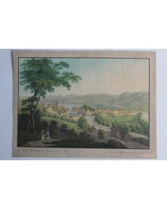 Gravure Franz HEGI La ville de Zurich Suisse XIXe siècle