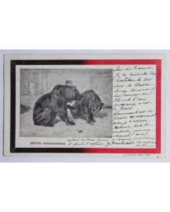 CPA Bern Barengraben Kaiser Suisse Ours Berne Suisse