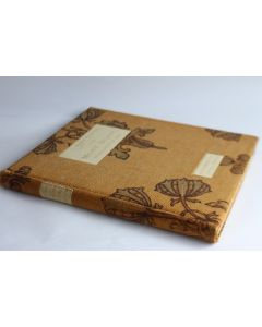 Livre Le Mont-Blanc d'aujourd'hui Henri Ferrand A. Eggimann 1912