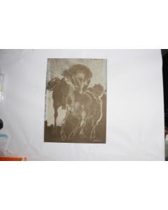 Lithographie Hans Erni Chevaux