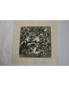 Xylographie originale Aldo Patocchi Fleurs fiori