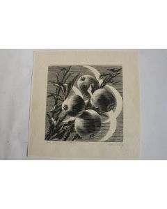 Xylographie originale Aldo Patocchi Fruits