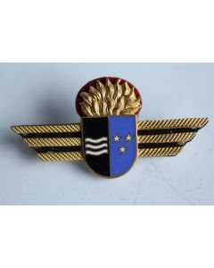 Insigne Pompier Argovie Suisse