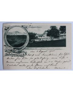 Carte postale ancienne Gruss aus Schönengrund Suisse