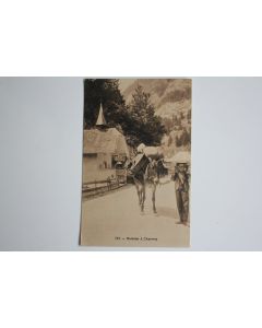 CPA Muletier à Charmey Fribourg Suisse