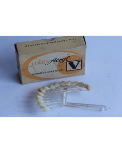Nuancier dentaire Lumin Acryl V