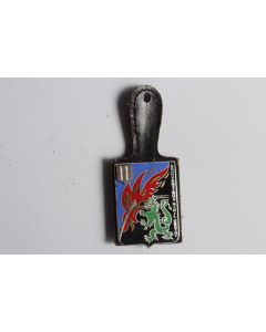 Insigne Pompier France