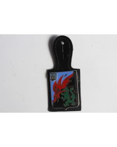 Insigne Pompier France