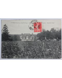 CPA Indre-et-Loire Vouvray Vendanges Château Bargains Grand Cru