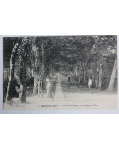 CPA Charente-Inférieure Royan Forêt de la Coubre La ligne du Tram