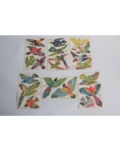 CPA prédécoupée Oiseaux Bowley Oilette Birds on the wing