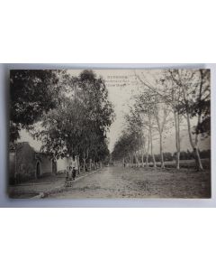 Carte postale ancienne Duperré Boulevard Sud Côté ouest Algérie