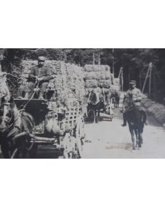 Photographies guerre 1914-18 ravitaillement Alsace