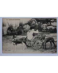 CPA Loiret Gien Attelage Giennois Voiture à chien