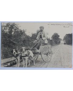 CPA Loiret Un attelage de chiens