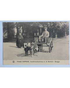 CPA Belgique Bruges Voiture à chien Firmin Coppens