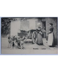 CPA Belgique Bruxelles Laitière Attelage de chiens