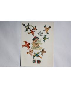 Images chromos gaufrés découpés Perroquets Oiseaux 1890