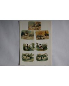 Images chromos gaufrés découpés  Cygnes Canards 1890