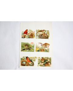 Images chromos gaufrés découpés Oiseaux 1890